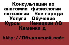 Консультации по анатомии, физиологии, патологии - Все города Услуги » Обучение. Курсы   . Ненецкий АО,Каменка д.